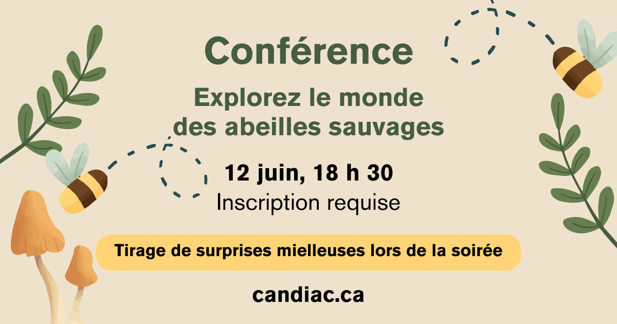 Conférence  «Explorez le monde des abeilles sauvages»