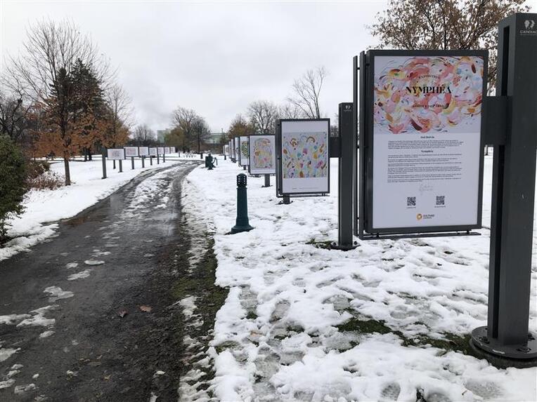 Nymphéa au Sentier des arts : un point d’ancrage, d’équilibre et d’inspiration pour l’Être.