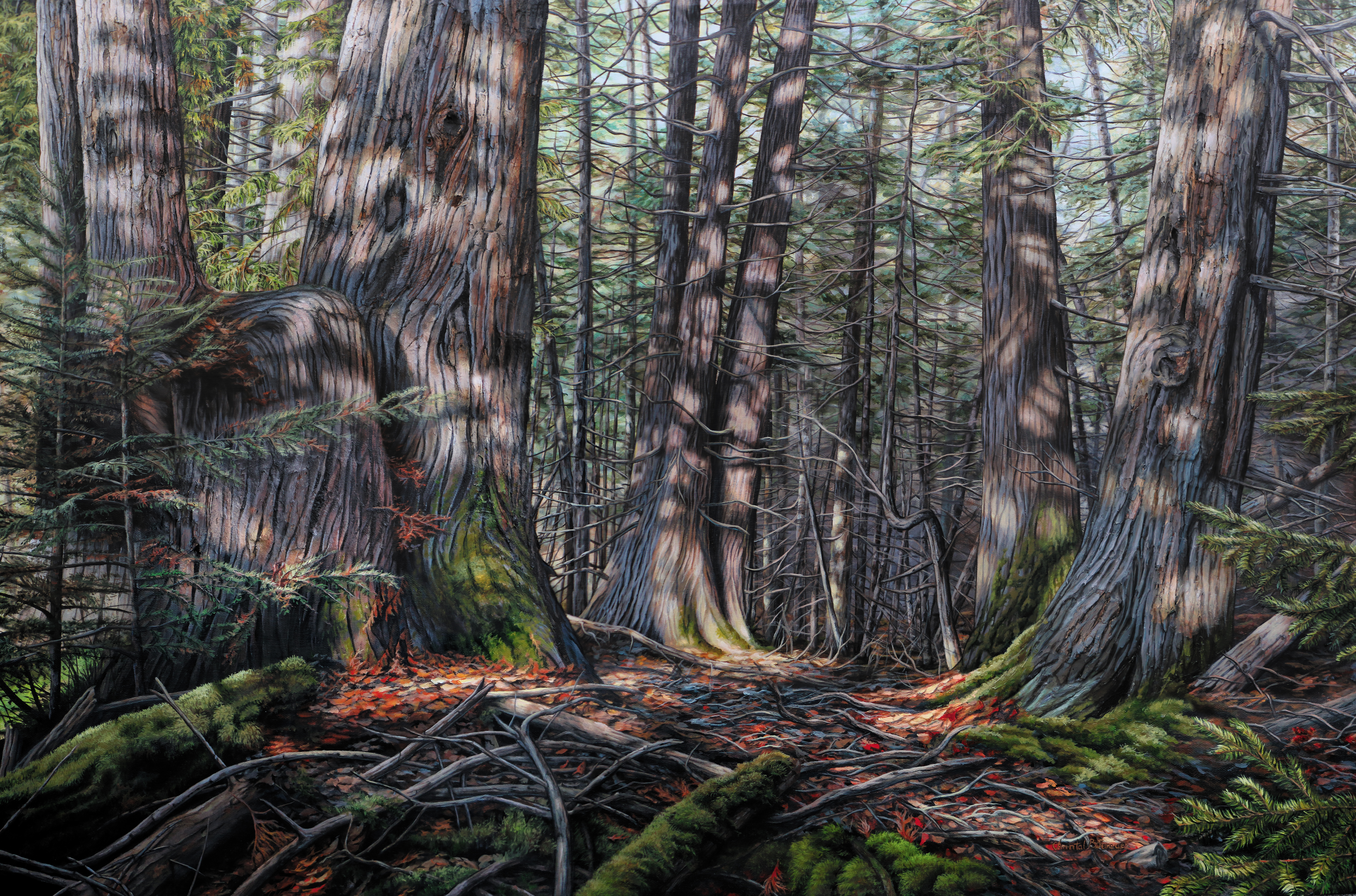 LaOuLaLumiereDanse-ChantalBourque.jpg (27.89 MB)