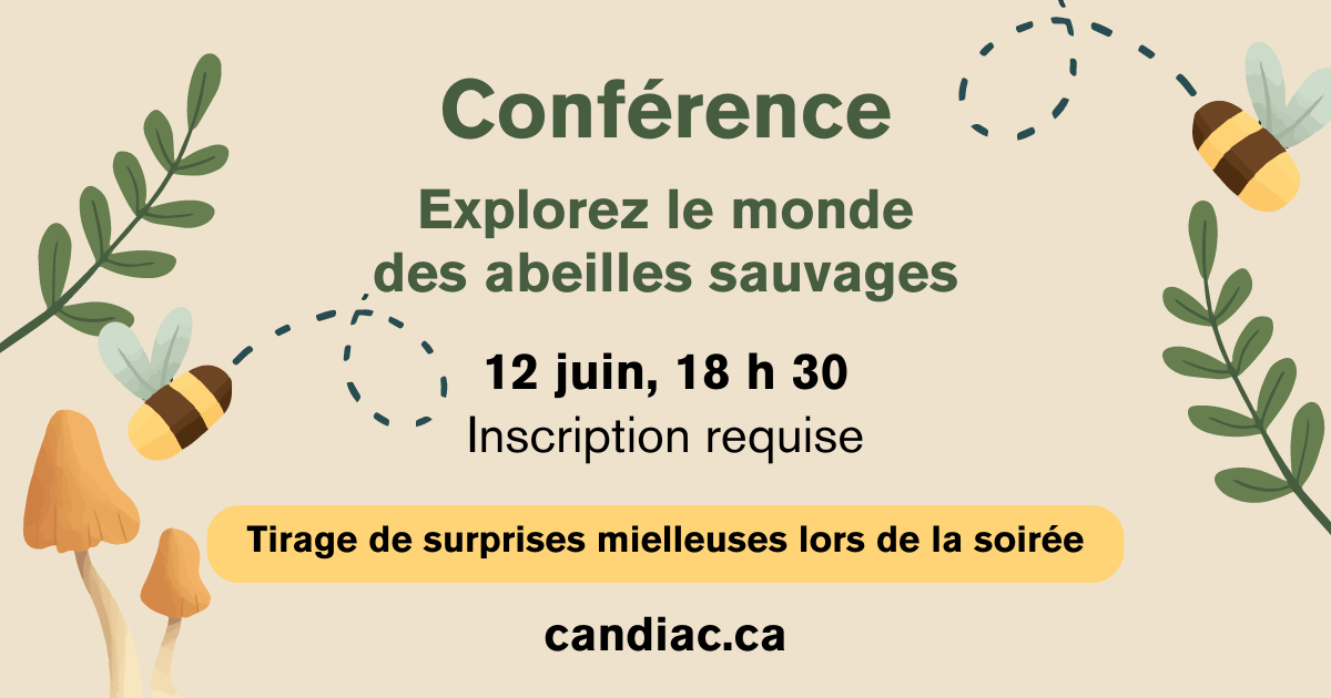 conference_explorez_le_monde_des_abeilles_sauvages_(2).png (124 KB)