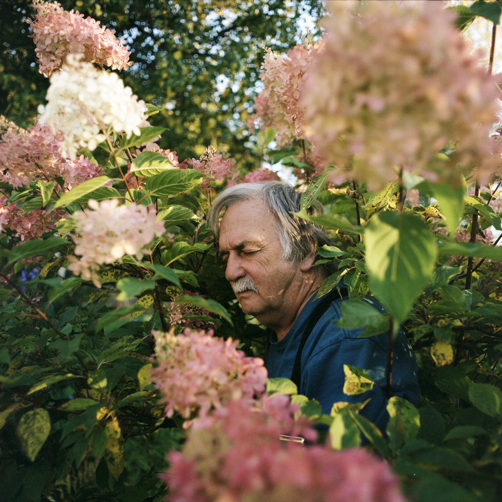 Exposition « Plante Père » | Kassandra Reynolds 