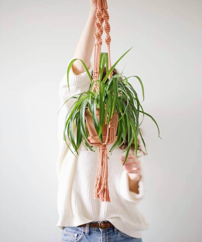 ANNULÉ | Macramé débutant