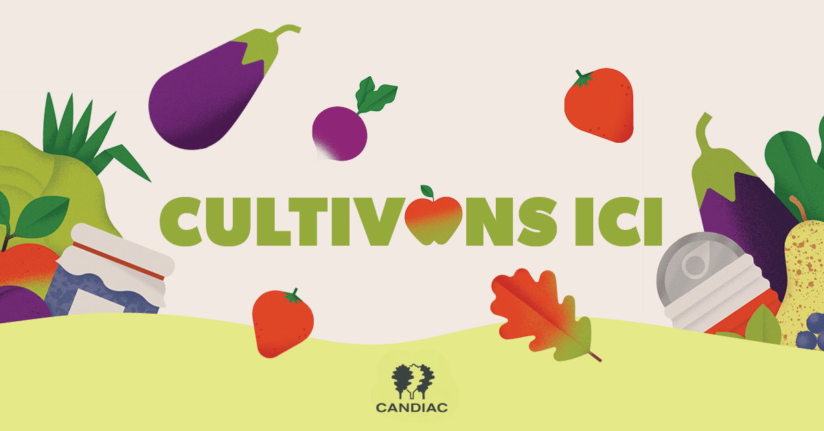 Lancement Cultivons ici
